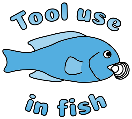 Fish tool use project logo